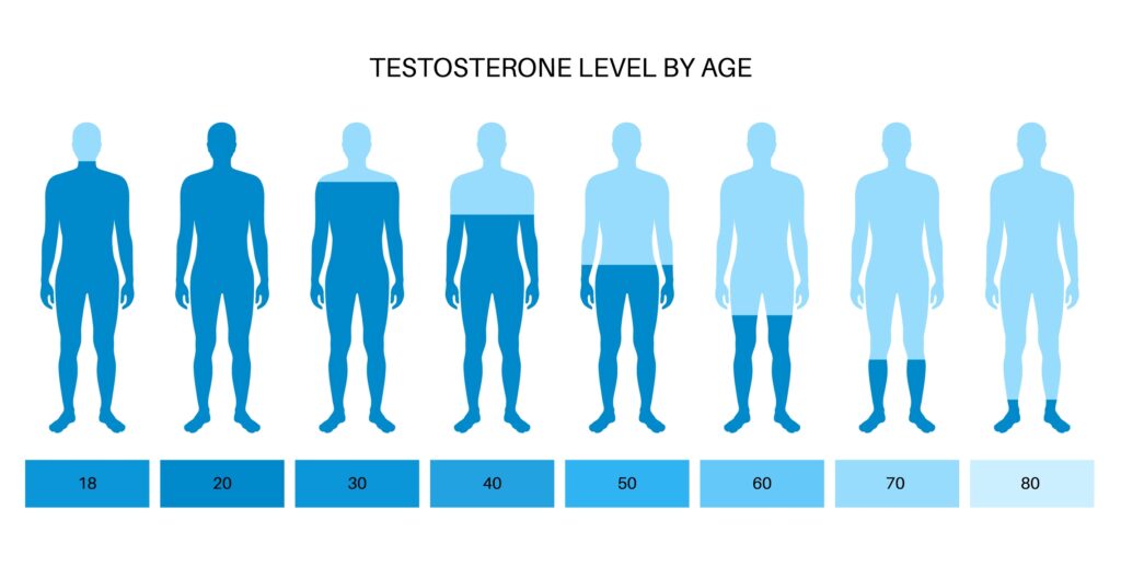 Testosterone level by age