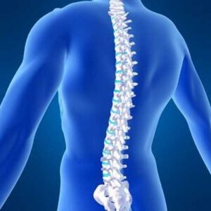Back view of a blue-toned human figure with a white highlighted spine from neck to pelvis.